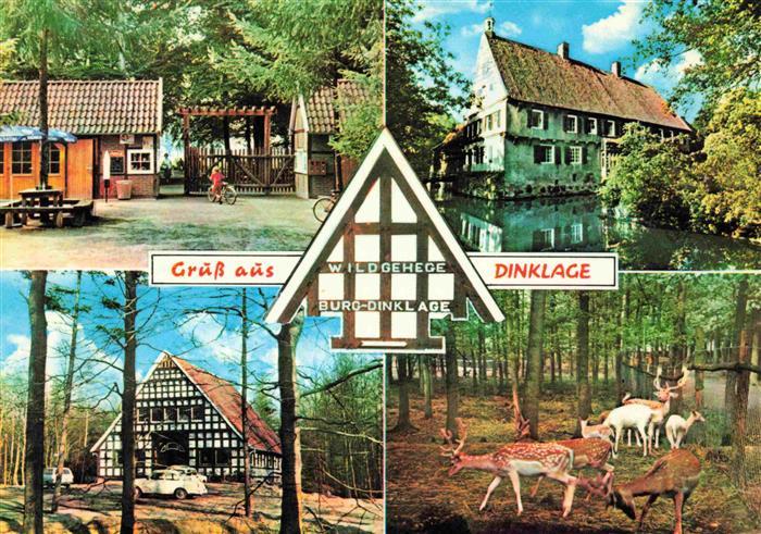 Dinklage Wildgehege Burg-Dinklage