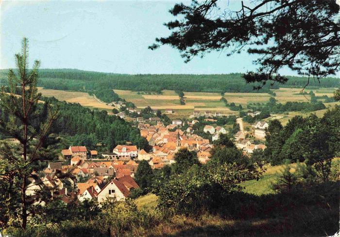Heigenbruecken Panorama Hoehenluftkurort im Spessart