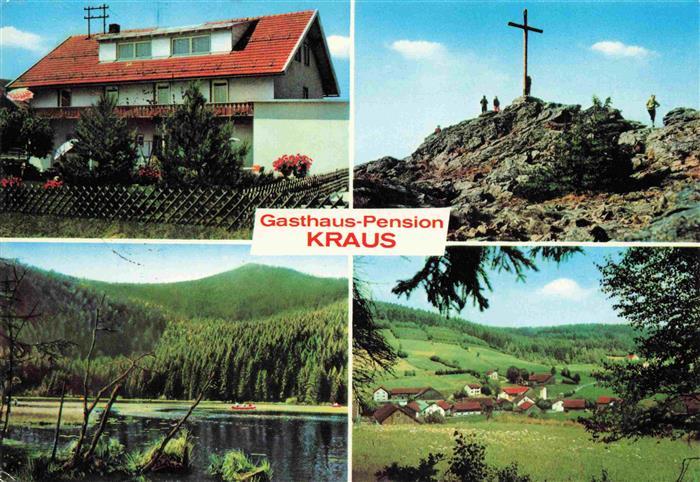 Schwarzach Regen Gasthaus Pension Kraus Partie am See Landschaftspanorama Gipfel