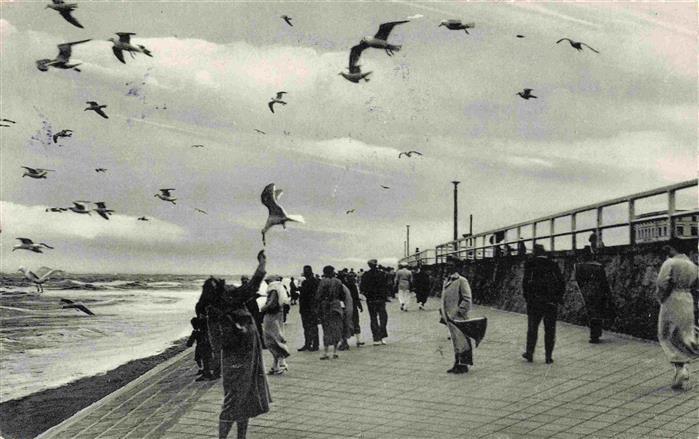 NORDERNEY Nordseebad Strandpromenade Moewen