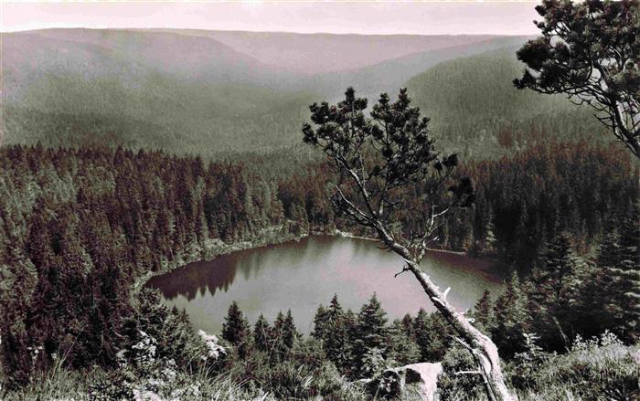 Ruhestein Baiersbronn BW Panorama Wildsee Schwarzwald