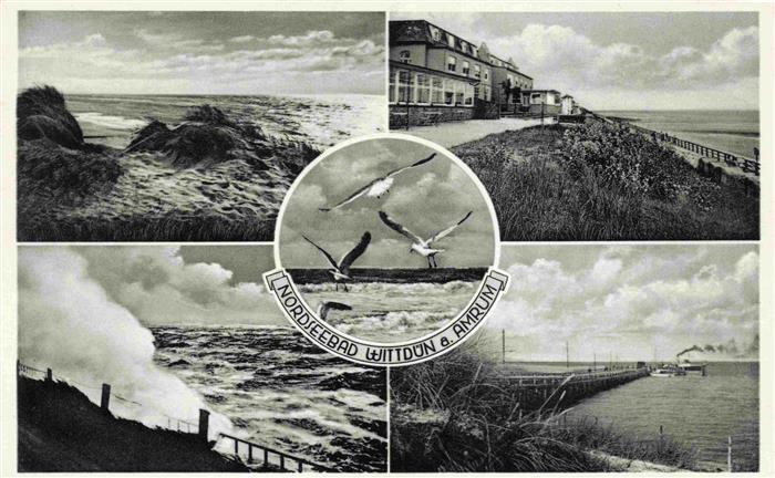 WITTDueN Amrum Kuestenpanorama Duenen Brandung Moewen Promenade Mole