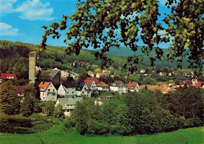 Bad Sachsa Harz Panorama Blick vom Knickberg