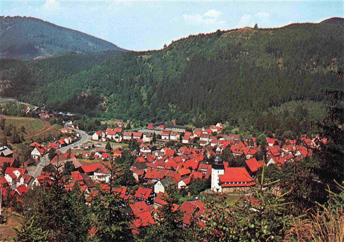 Lautenthal Harz Panorama