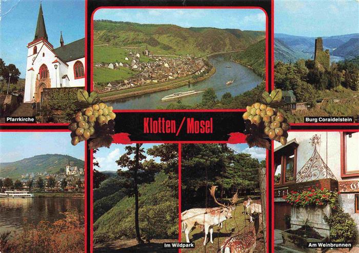 Klotten Panorama Moseltal Pfarrkirche Burg Coraidelstein Wildpark Weinbrunnen