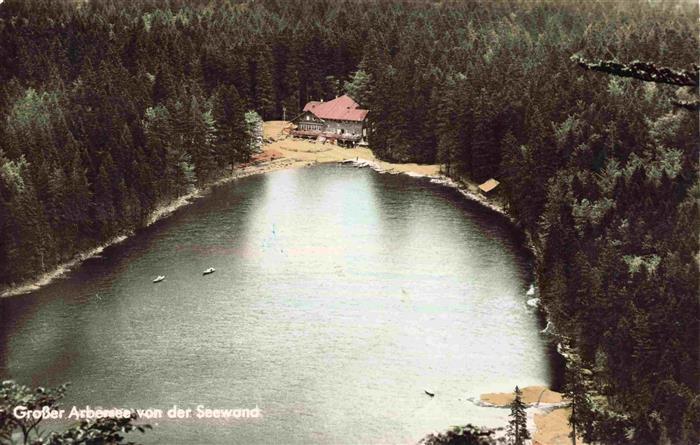 Grosser Arbersee Bayerisch Eisenstein Bayern Blick von der Seewand