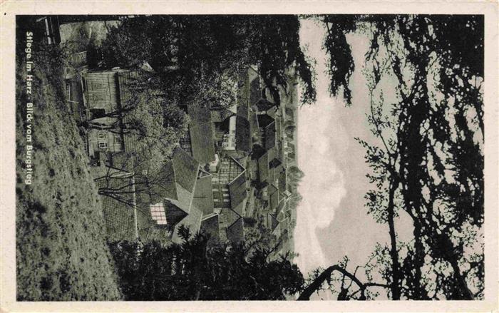 Stiege Harz Blick vom Burgstieg