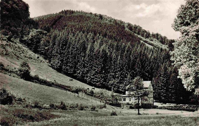 Winterberg Hochsauerland NRW Gasthof Pension Daubermuehle