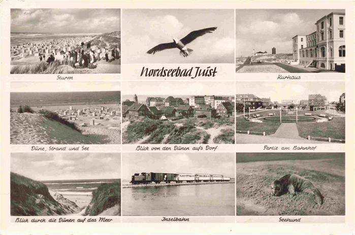 JUIST Nordseebad Sturm Duene Strand Meerblick Kurhaus Bahnhof Inselbahn Seehund