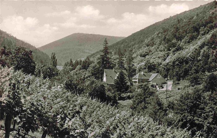 St Martin Weinstrasse Pfalz Waldgaststaette und Pension Wappenschmiede