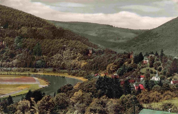 Neckarsteinach Burgenblick