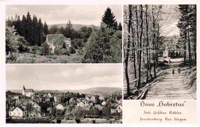 Freudenberg Westfalen Haus Hubertus Panorama Allee