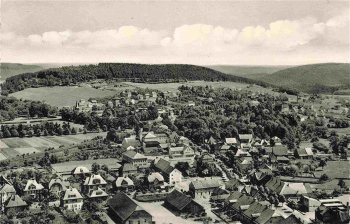 BAD DRIBURG Fliegeraufnahme