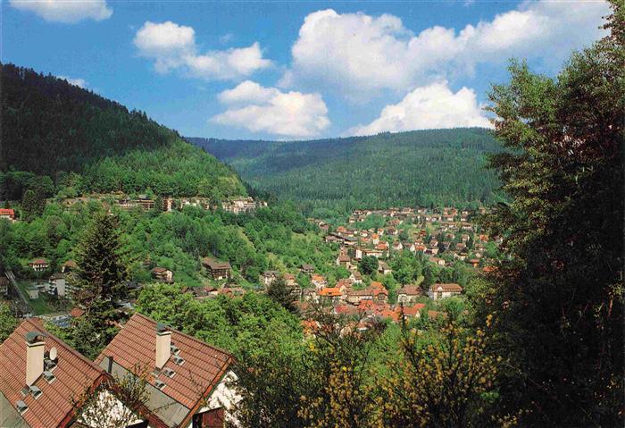 BAD WILDBAD  Schwarzwald Panorama