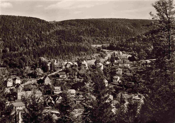Neuenburg Rhein Panorama
