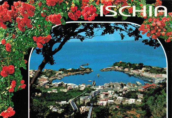 ISCHIA Isla IT Panorama Hafen