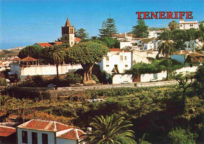 Icod de los Vinos Tenerife Islas Canarias ES Vista parcial