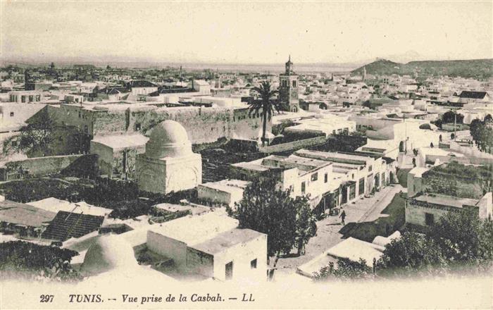 TUNIS Tunesie Casbah Moschee Minarett Kuppel Altstadt Panorama Palme Flachdaeche