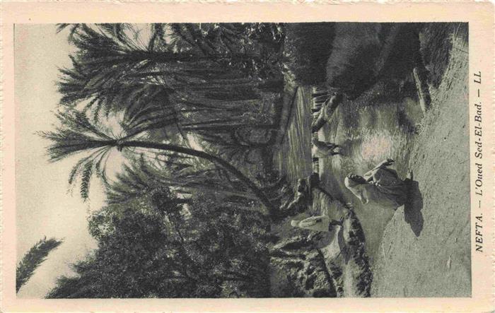 Nefta Tunesie L Oued-Sed-El-Bad Fluss Palmen Oase Frau Mann Esel Wasser