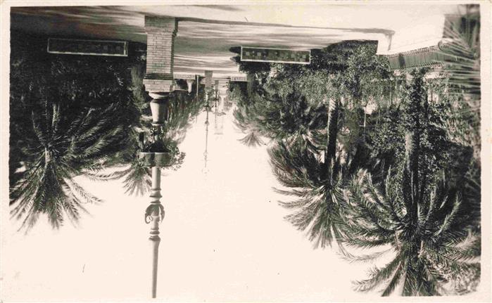 SEVILLA Andalucia ES Park Palmen Promenade Laterne Gartenanlage