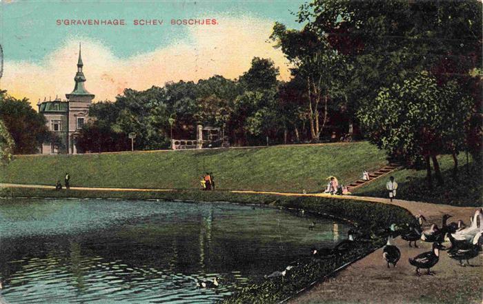 S-Gravenhage Den Haag NL Schev-Boschjes Park Teich Enten Gaense Villa Baeume Spa