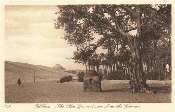 Sakkara Saqqarah Egypt Stufenpyramide Djoser Step-Pyramid Sycamore Sykomore Wues