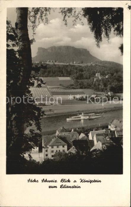 Koenigstein Saechsische Schweiz Blick zum Lilienstein