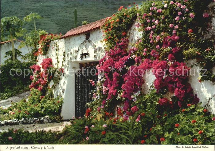 Islas Canarias A typical scene