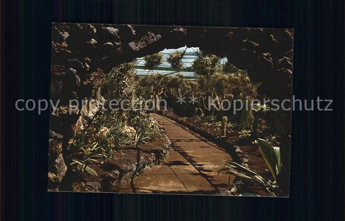 Puerto de la Cruz Papageien Park und Show