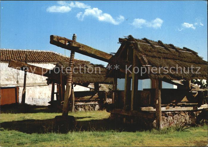 Santiago del Teide Antiguos lagares