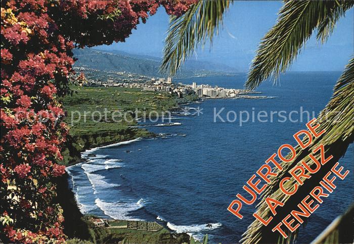 Puerto de la Cruz Vista de la Costa Norte