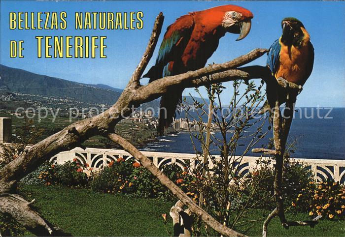 Puerto de la Cruz Bellezas naturales y la Costa Norte