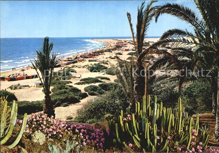 Playa del Ingles Panorama