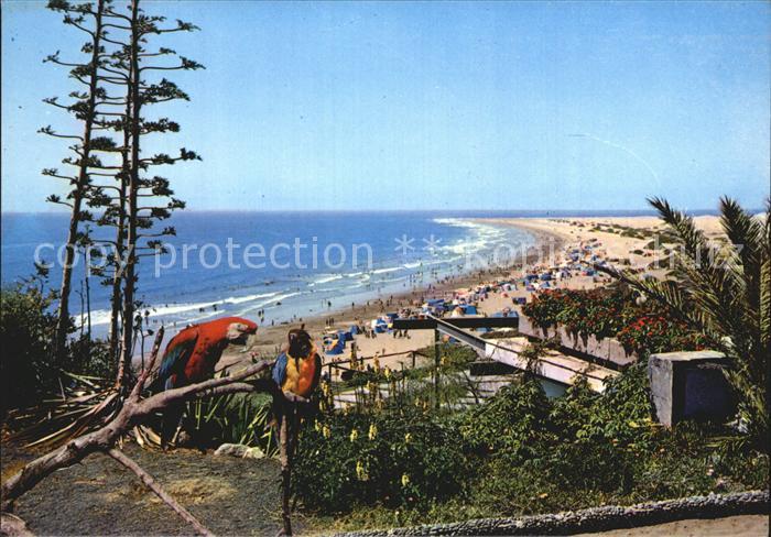 Playa del Ingles Panorama