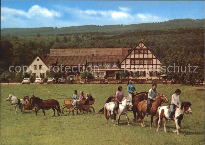 Ruedesheim Rhein Landgut Ebental Reiten und Fahren