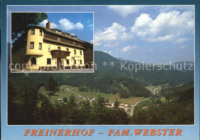 Frein an der Muerz Gasthof Freinerhof Panorama