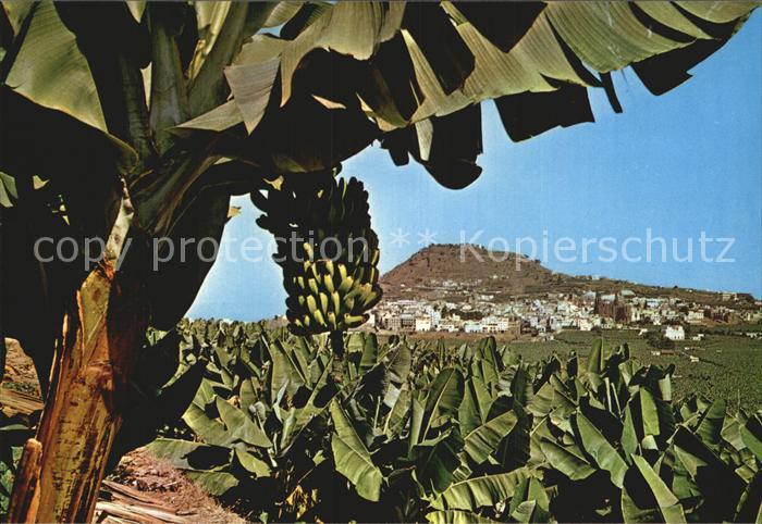 Gran Canaria Vista parcial de Arucas