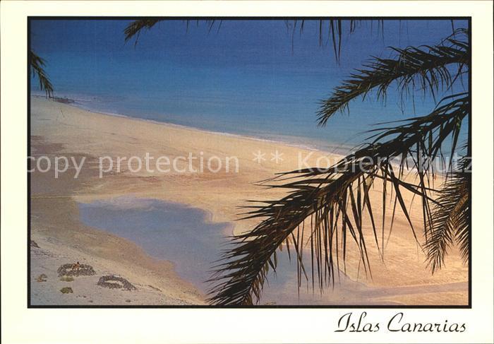 Fuerteventura Jandia