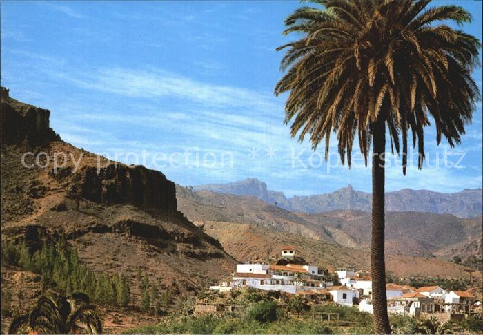 Gran Canaria Fataga