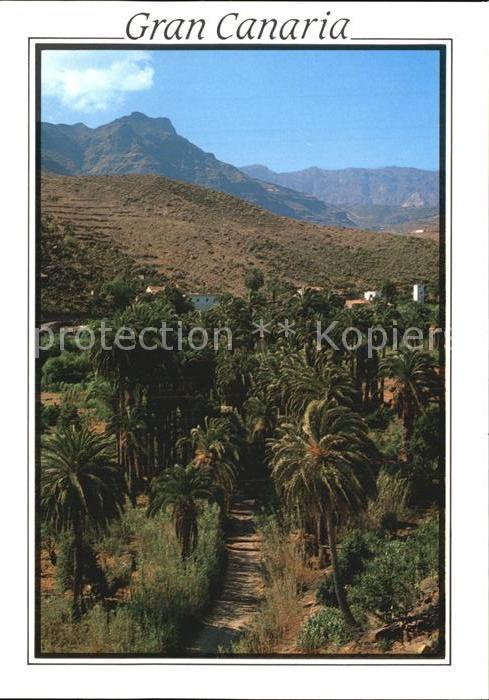 Fataga Landschaftspanorama