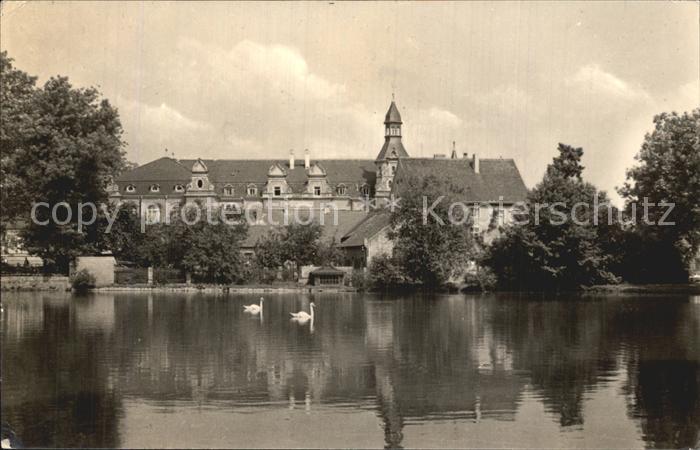 Bad Schmiedeberg Schwanenteich