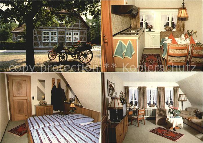 Undeloh Seume Haus Ferienwohnungen Apartements Pferdekutsche