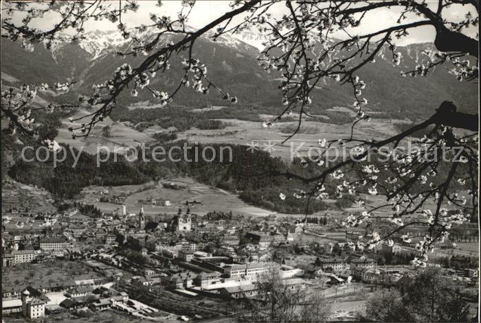 Bressanone Panorama Primavera Fruehling Baumbluete