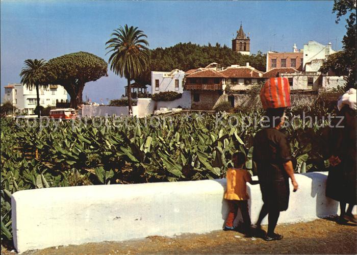 Icod de los Vinos Vista parcial y Drago milenario