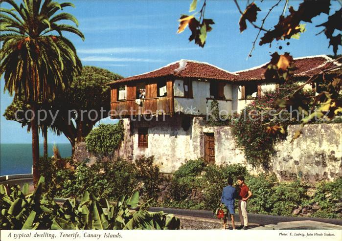 Tenerife Typical dwelling Palm and dragon tree