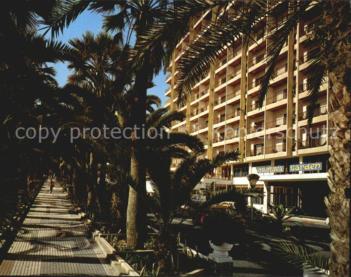 Puerto de la Cruz Paseo Martianez y Hotel Orotava Garden Palmas