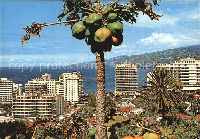 Puerto de la Cruz Panoramica desde las instalaciones hoteleras Suedfrucht Hotels