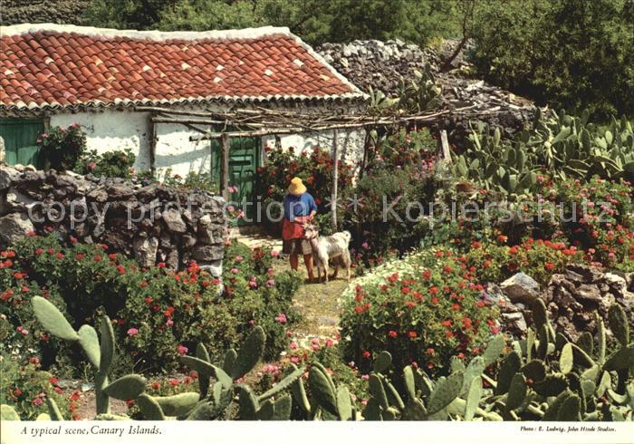 Islas Canarias Typical scene