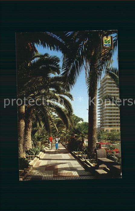 Puerto de la Cruz Palmeras y Paseo Martianez Palmen Promenade