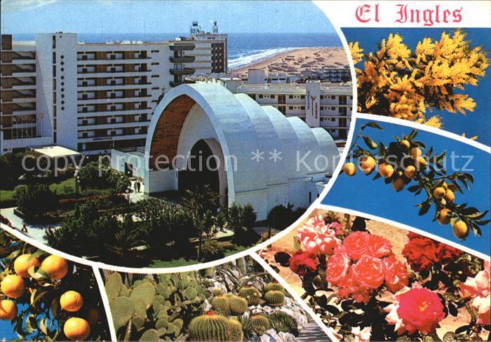 Playa del Ingles Hotel Pavillon Strand Suedfrueche Blumen Kakteen
